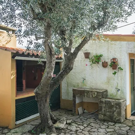 Ferienhaus Bela Vista - Countryside *